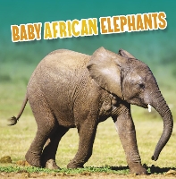 Book Cover for Baby African Elephants by Martha E. H. Rustad