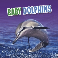 Book Cover for Baby Dolphins by Martha E. H. Rustad