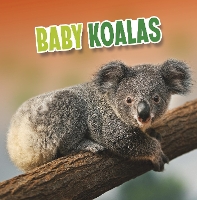 Book Cover for Baby Koalas by Martha E. H. Rustad