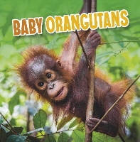 Book Cover for Baby Orangutans by Martha E. H. Rustad