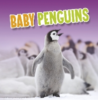 Book Cover for Baby Penguins by Martha E. H. Rustad