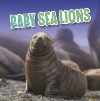 Book Cover for Baby Sea Lions by Martha E. H. Rustad