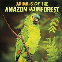 Book Cover for Animals of the Amazon Rainforest by Mari Schuh