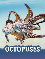 Book Cover for Octopuses by Jaclyn Jaycox