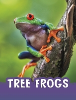 Book Cover for Tree Frogs by Jaclyn Jaycox