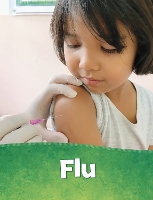 Book Cover for Flu by Beth Bence Reinke