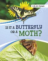 Book Cover for Is It a Butterfly or a Moth? by Susan B. Katz
