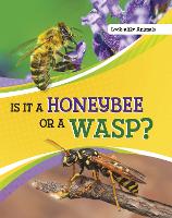 Book Cover for Is It a Honeybee or a Wasp? by Susan B. Katz