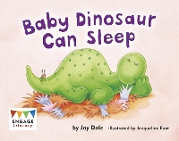 Book Cover for Baby Dinosaur Can Sleep by Jay Dale