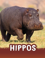 Book Cover for Hippos by Jaclyn Jaycox