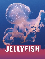 Book Cover for Jellyfish by Jaclyn Jaycox