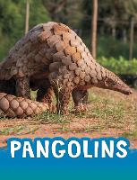 Book Cover for Pangolins by Jaclyn Jaycox