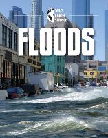 Book Cover for Floods by Rachel Werner
