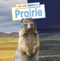 Book Cover for Day and Night on the Prairie by Ellen Labrecque