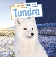 Book Cover for Day and Night on the Tundra by Mary Boone