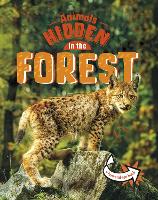 Book Cover for Animals Hidden in the Forest by Jessica Rusick