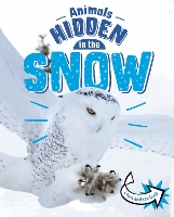 Book Cover for Animals Hidden in the Snow by Jessica Rusick
