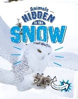 Book Cover for Animals Hidden in the Snow by Jessica Rusick