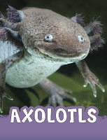 Book Cover for Axolotls by Jaclyn Jaycox