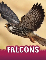 Book Cover for Falcons by Jaclyn Jaycox