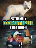 Book Cover for Extremely Beautiful Creatures by Megan Cooley Peterson