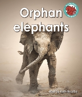 Book Cover for Orphan Elephants by Kath Beattie