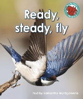 Book Cover for Ready, Steady, Fly by Samantha Montgomerie