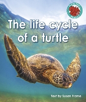 Book Cover for The Life Cycle of a Turtle by Susan Frame