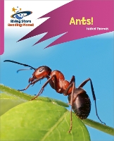 Book Cover for Reading Planet: Rocket Phonics – Target Practice – Ants! – Pink A by Isabel Thomas