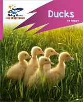 Book Cover for Ducks by Gill Budgell