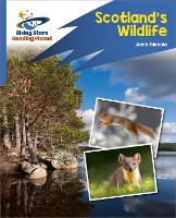 Book Cover for Scotland's Wildlife by Anne Glennie