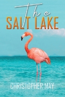 Book Cover for The Salt Lake by Christopher May