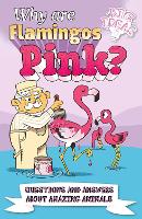 Book Cover for Why Are Flamingos Pink? by William (Author) Potter, Clare Hibbert