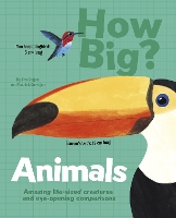 Book Cover for How Big?. Animals by Lisa Regan