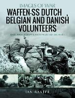 Book Cover for Waffen-SS Dutch & Belgian Volunteers by Ian Baxter