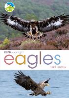 Book Cover for RSPB Spotlight: Eagles by Mike Unwin