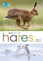 Book Cover for RSPB Spotlight Hares by Nancy Jennings