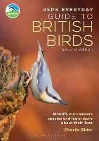 Book Cover for The RSPB Everyday Guide to British Birds by Charlie Elder