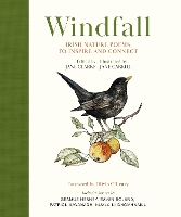 Book Cover for Windfall by Jane Clarke