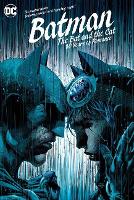 Book Cover for The Bat and the Cat by Various