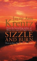 Book Cover for Sizzle And Burn by Jayne Ann Krentz