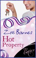 Book Cover for Hot Property by Zoe Barnes