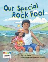 Book Cover for Our Special Rock Pool by Jay Dale