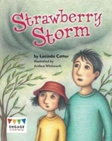 Book Cover for Strawberry Storm by Lucinda Cotter