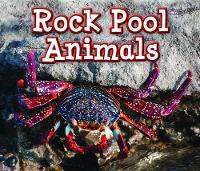 Book Cover for Rock Pool Animals by Sian Smith