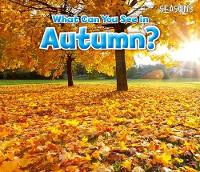 Book Cover for What Can You See In Autumn? by Sian Smith