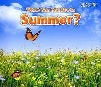 Book Cover for What Can You See In Summer? by Sian Smith