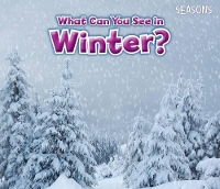 Book Cover for What Can You See in Winter? by Siân Smith