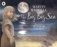 Book Cover for The Big Big Sea by Martin Waddell