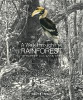 Book Cover for A Walk Through the Rainforest by Martin Jenkins